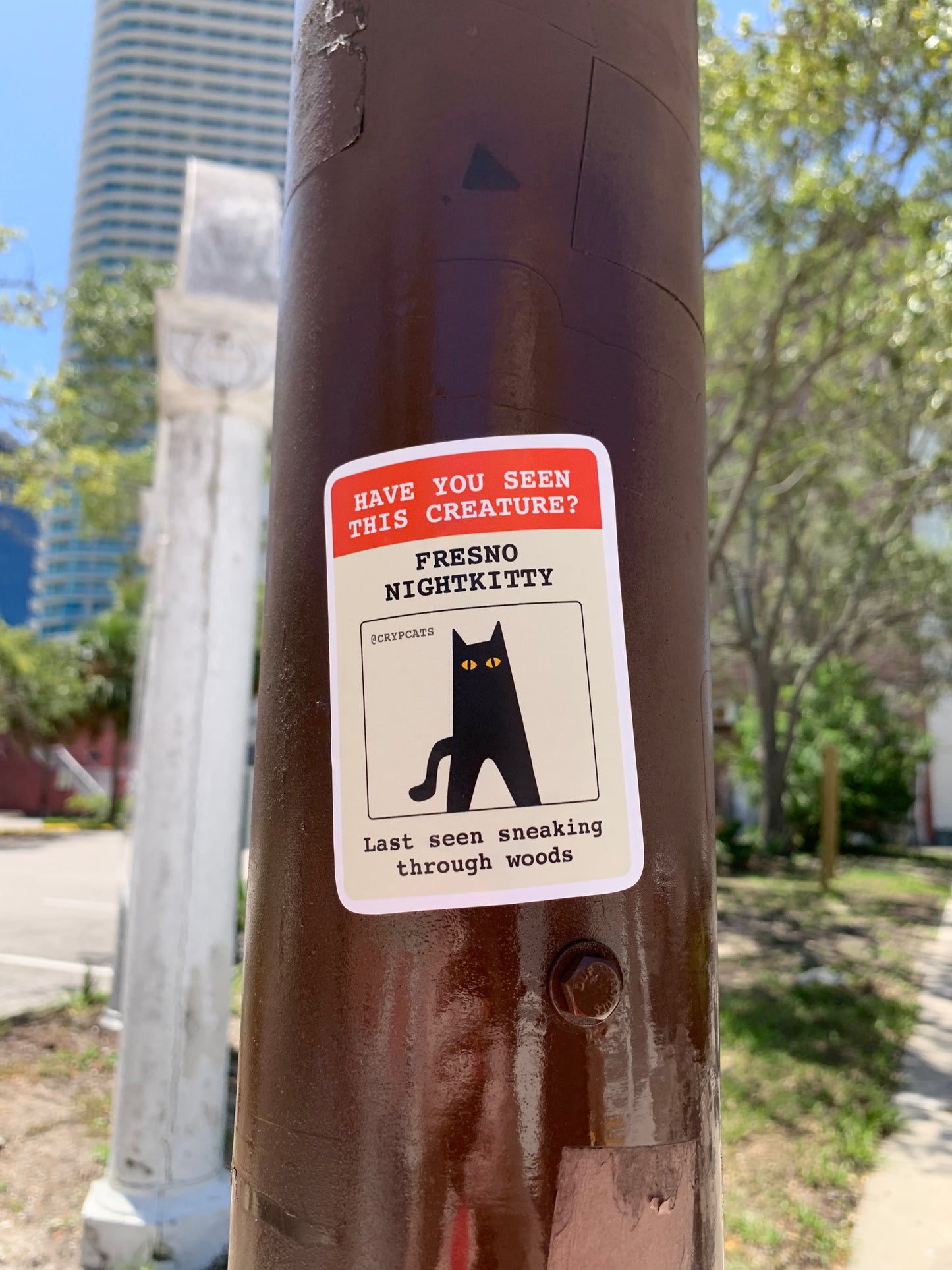 BEWARE Fresno NightKitty