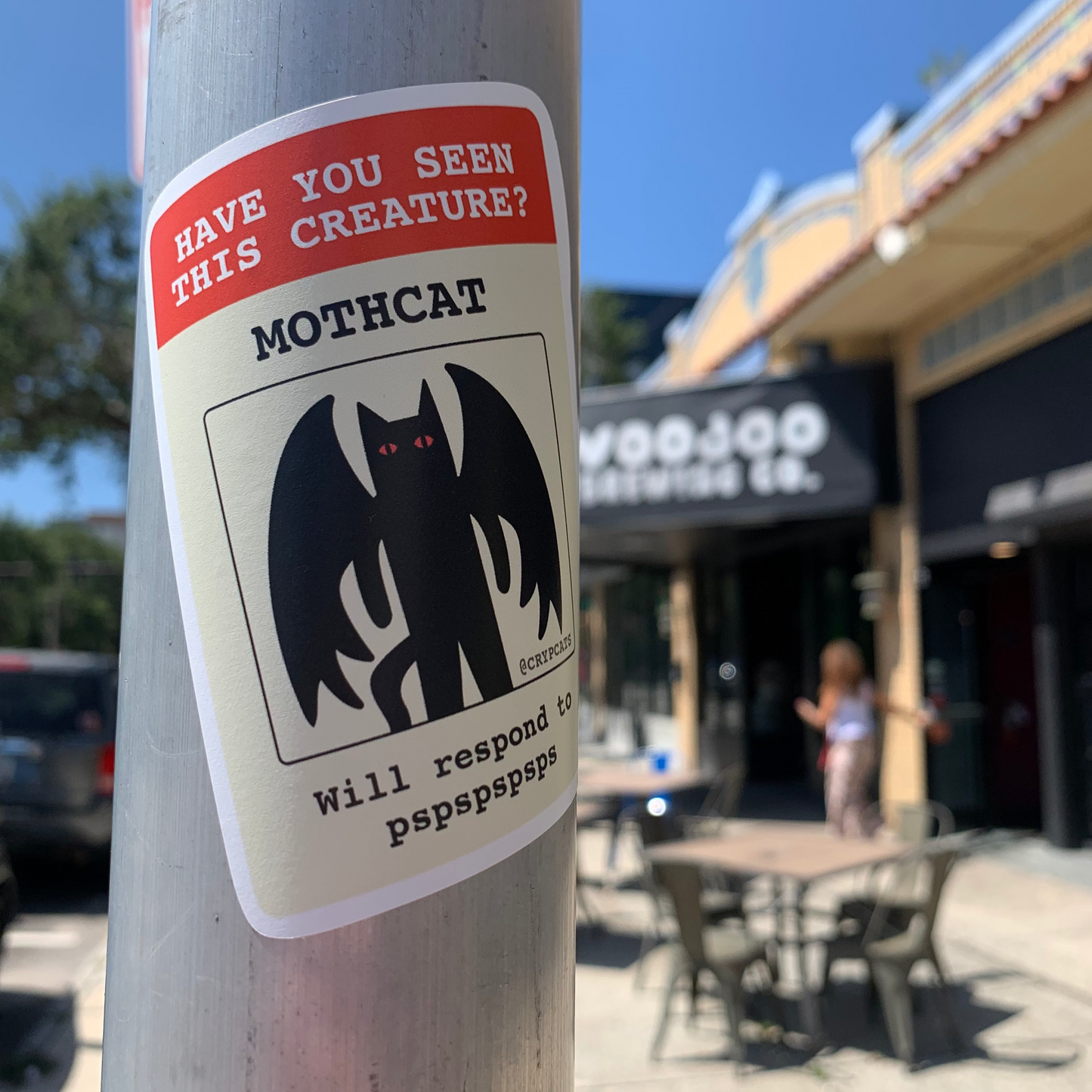 Sticker on a pole asking if someone has seen a creature named 'Mothcat' with a blurred background of a street scene.