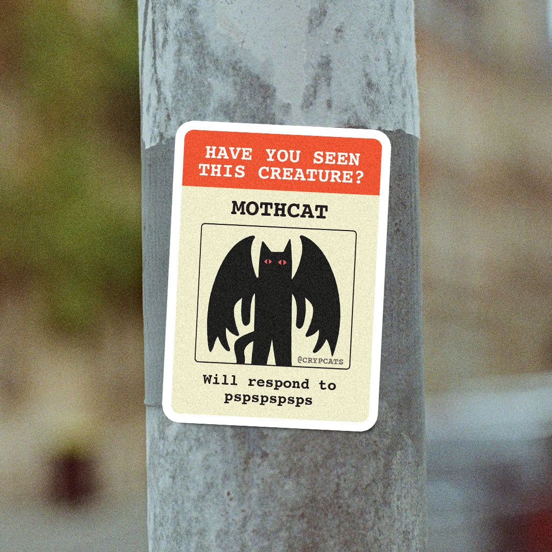 BEWARE Mothcat