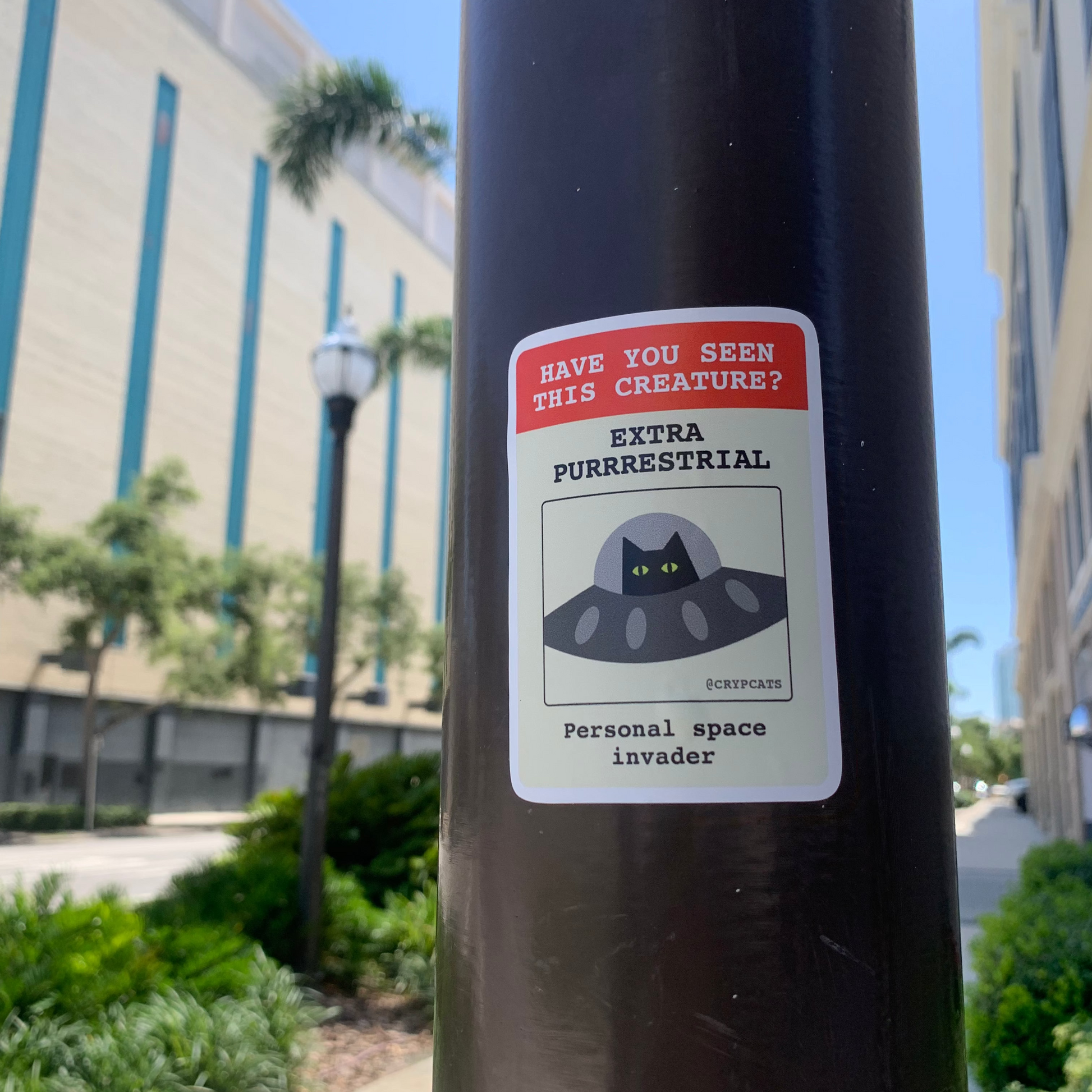 Extra Purrrestrial sticker on a pole