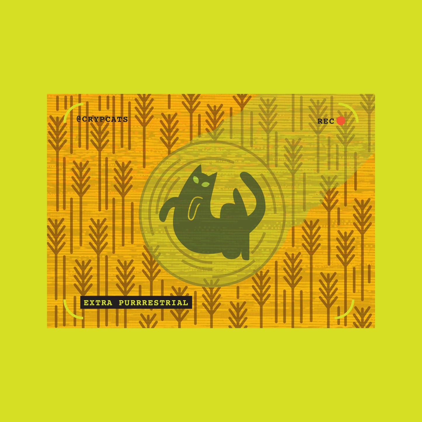 Crop Circles